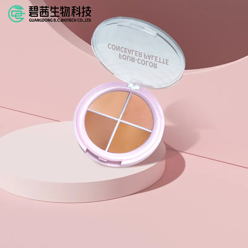 Kit Concealer 4 Warna
